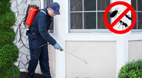 Çaycuma Dezenfeksiyon böcek ilaçlama ve haşere kontrolü — ilaclama-tr.com